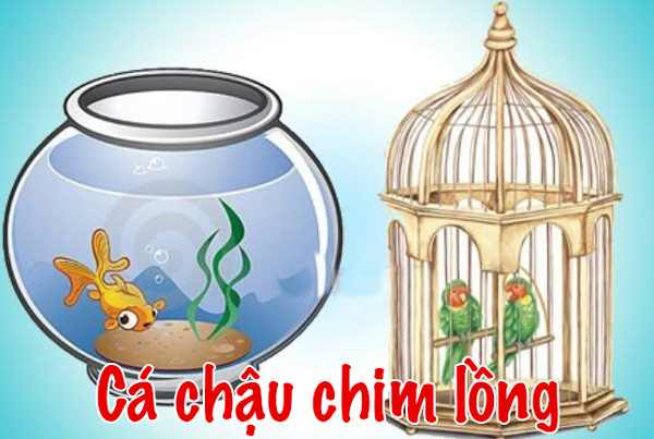 “Cá chậu chim lồng” ý nói cuộc sống tù túng, mất tự do.