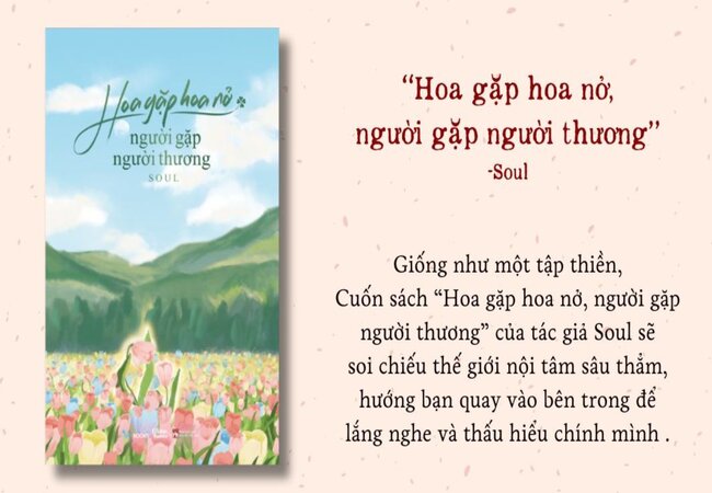 review-sach-hoa-gap-hoa-no-nguoi-gap-nguoi-thuong-4