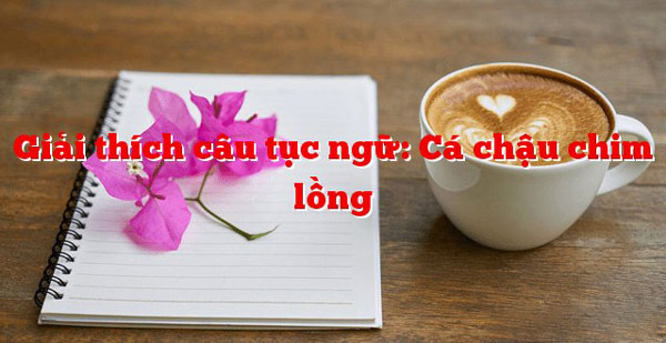 Câu chuyện về thành ngữ “Cá chậu chim lồng”